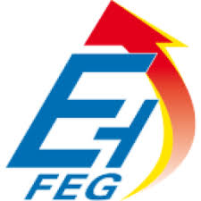 FEG logo